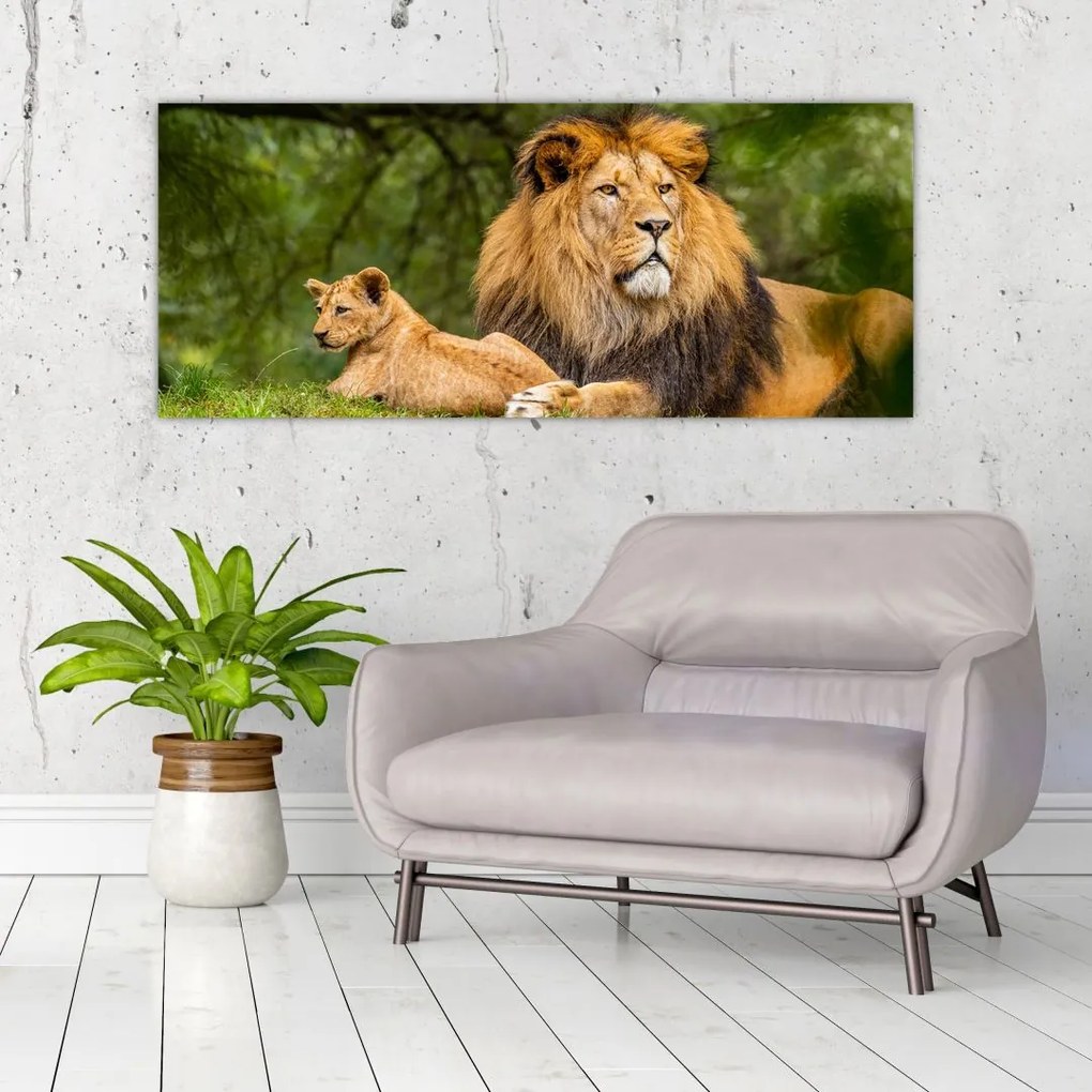 Tablou cu lei (120x50 cm)