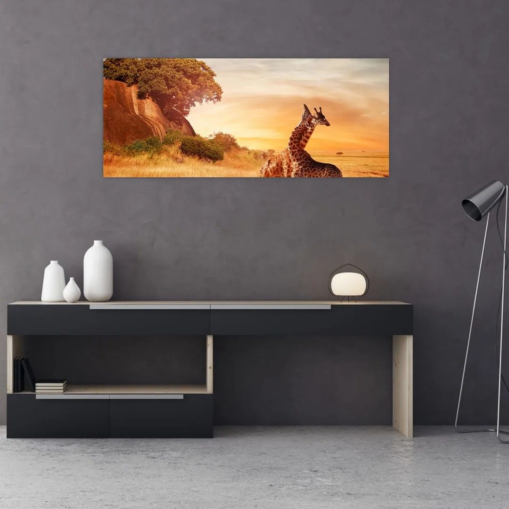 Tablou Girafe în Africa (120x50 cm)