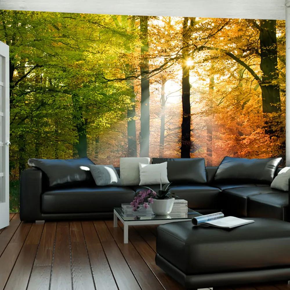 Fototapet Bimago - Beautiful autumn + Adeziv gratuit 200x154 cm