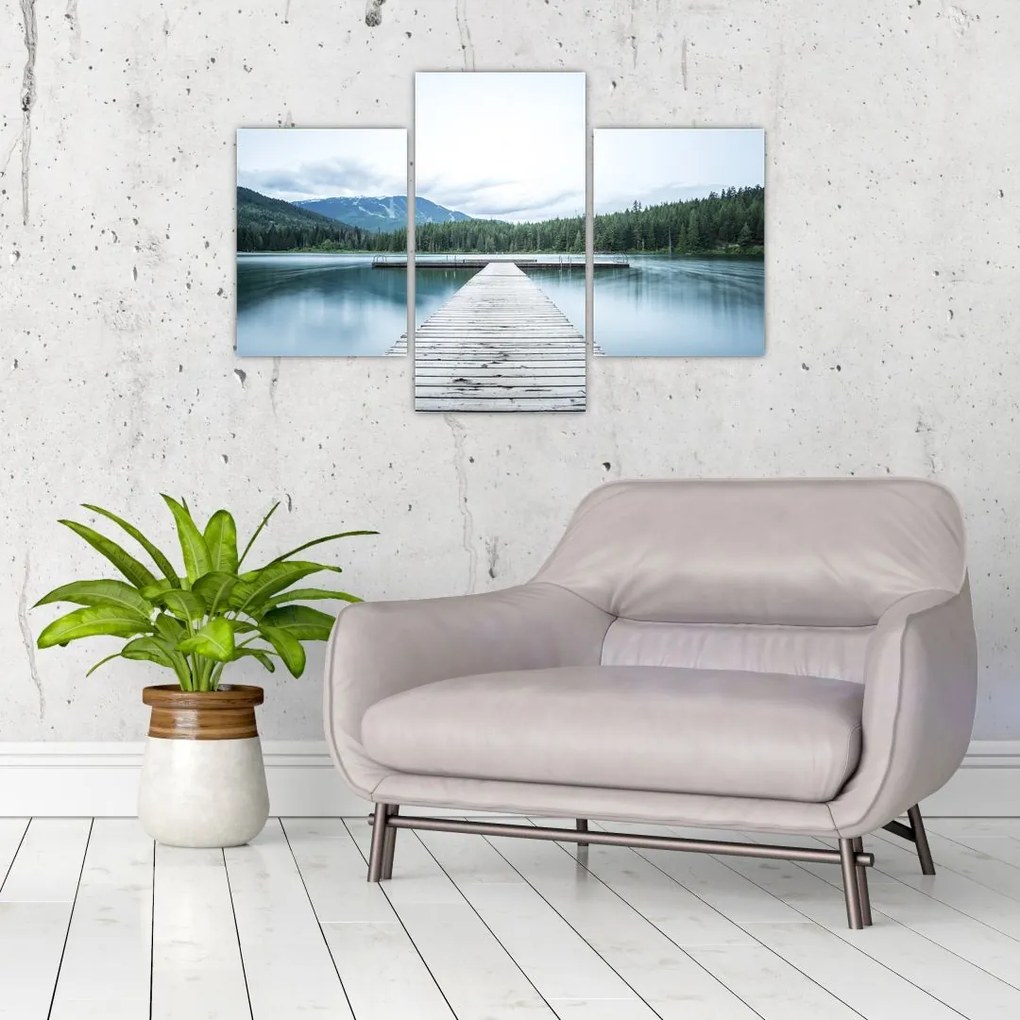 Tablou - O privire din pod (90x60 cm)