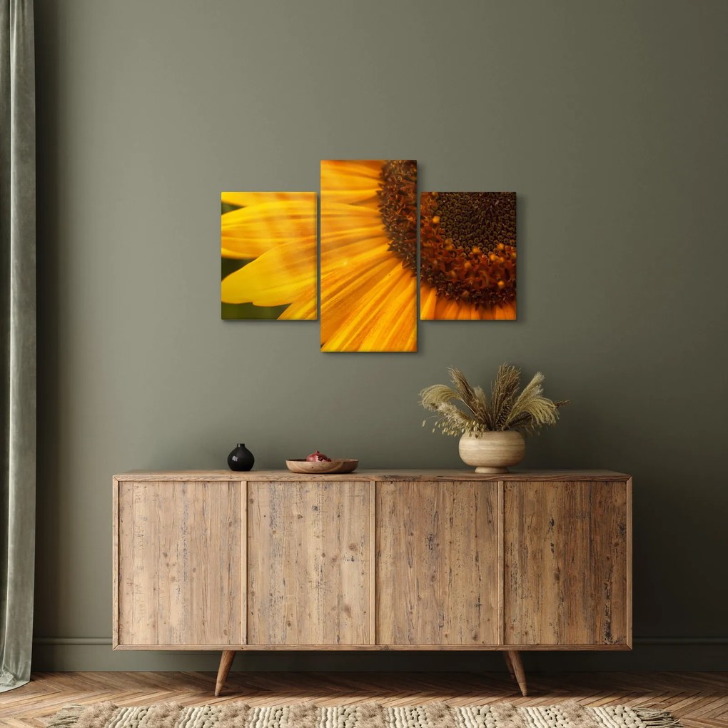 Tablou - Floarea-soarelui (90x60 cm)