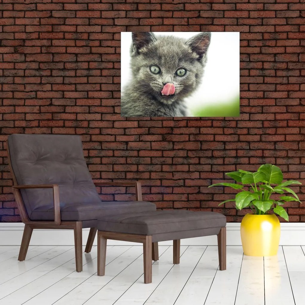 Tablou pe sticlă cu pisicuța lingându-se (70x50 cm)