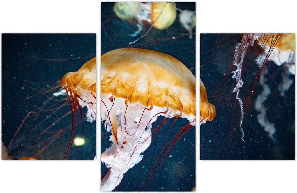 Tablou - Medusa (90x60 cm)