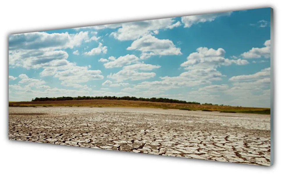 Tablouri acrilice Desert Peisaj Gri Verde