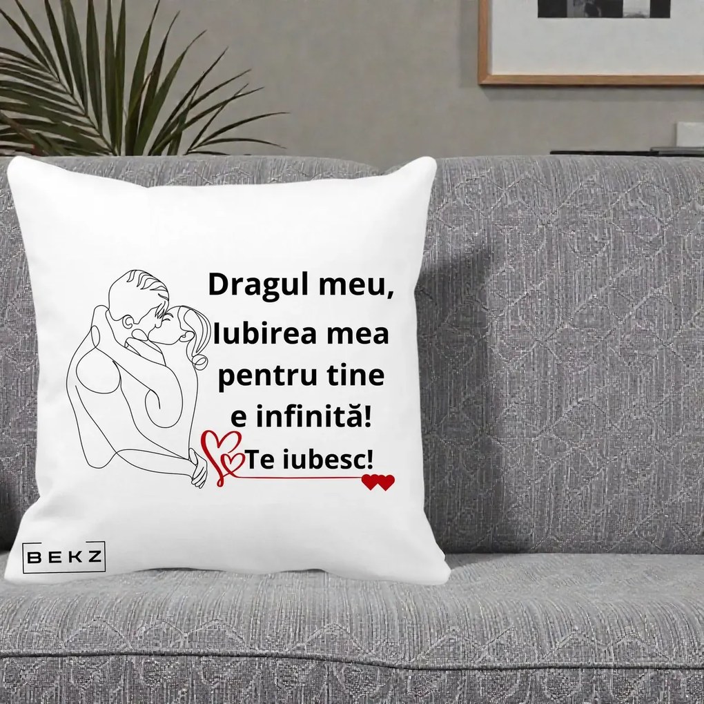 Cadou pentru Iubit - Perna Personalizata Dragul Meu Iubirea Mea pentru Tine e Infinita Te Iubesc, 40x40 cm, Alba Mata, Husa Detasabila, Perna Inclusa, BEKZ®