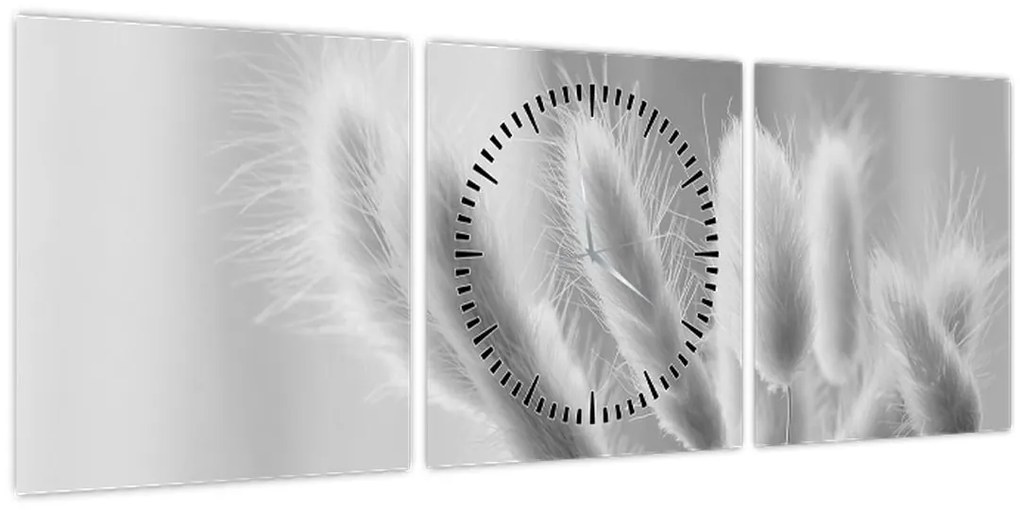 Tablou - Iarbă de coadă de iepure (cu ceas) (90x30 cm)