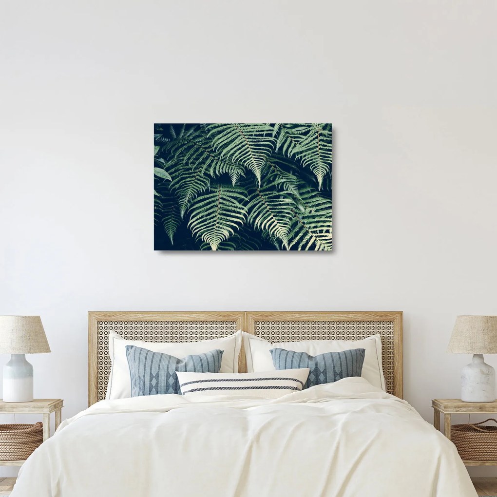 Tablou pe sticlă cu frunze de ferigă (70x50 cm)