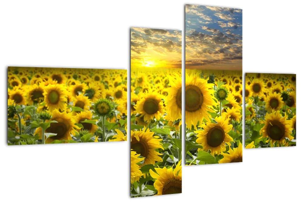 Tablouri - floarea-soarelui (110x70cm)