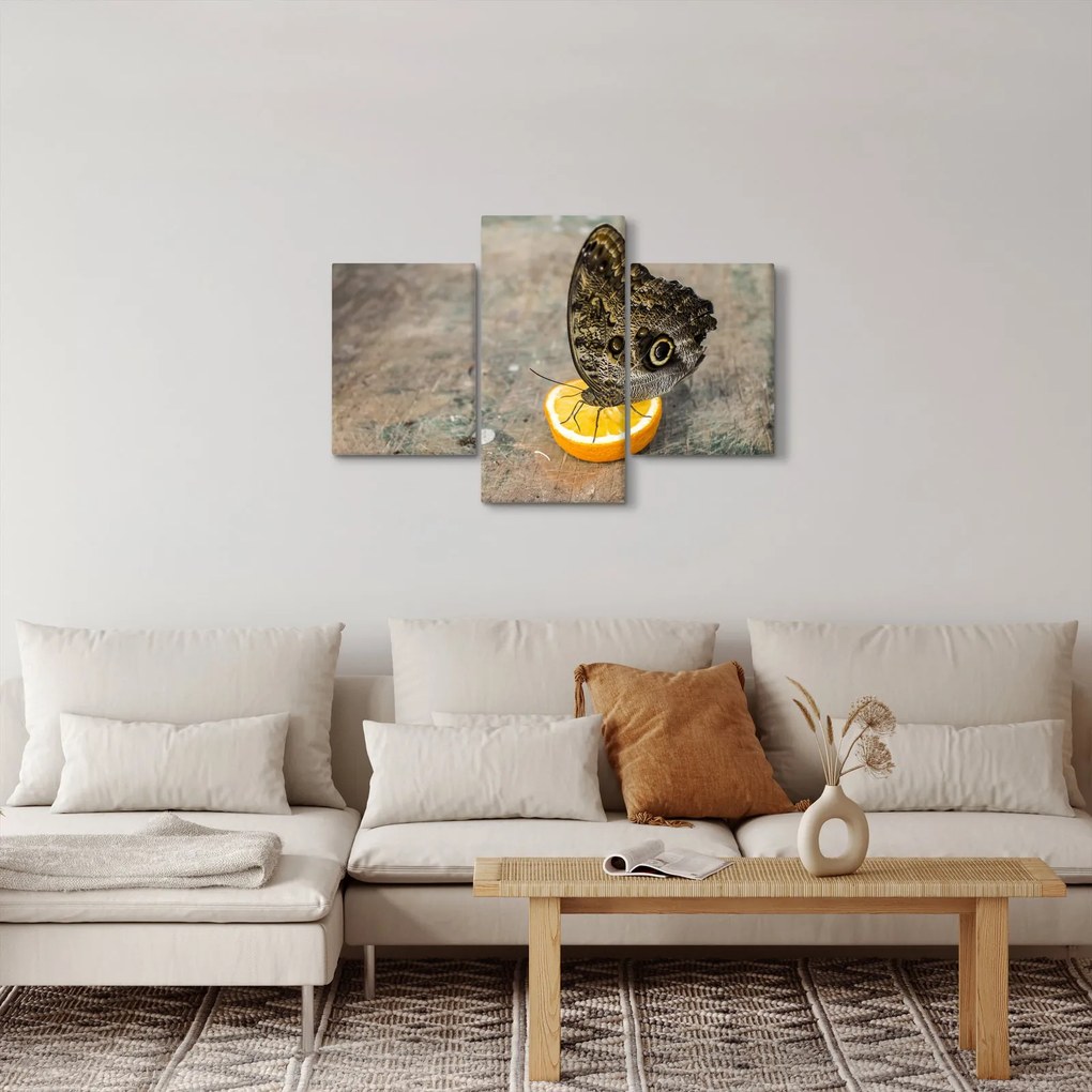Tablou cu fluturi (90x60 cm)