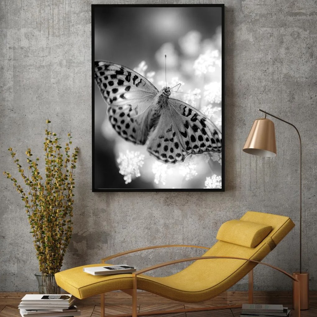 Poster - Fluture (A4)