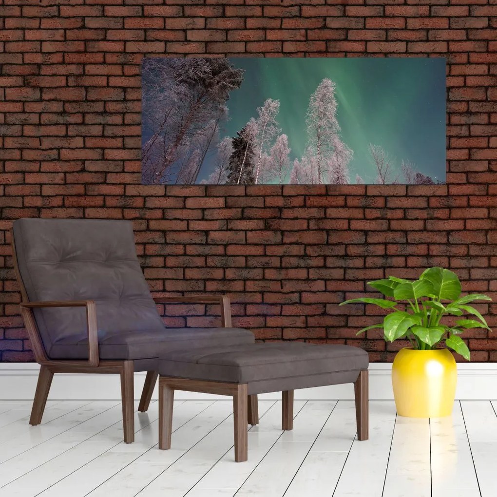 Tablou cu aurora borealis deasupra pomilor înghețați (120x50 cm)