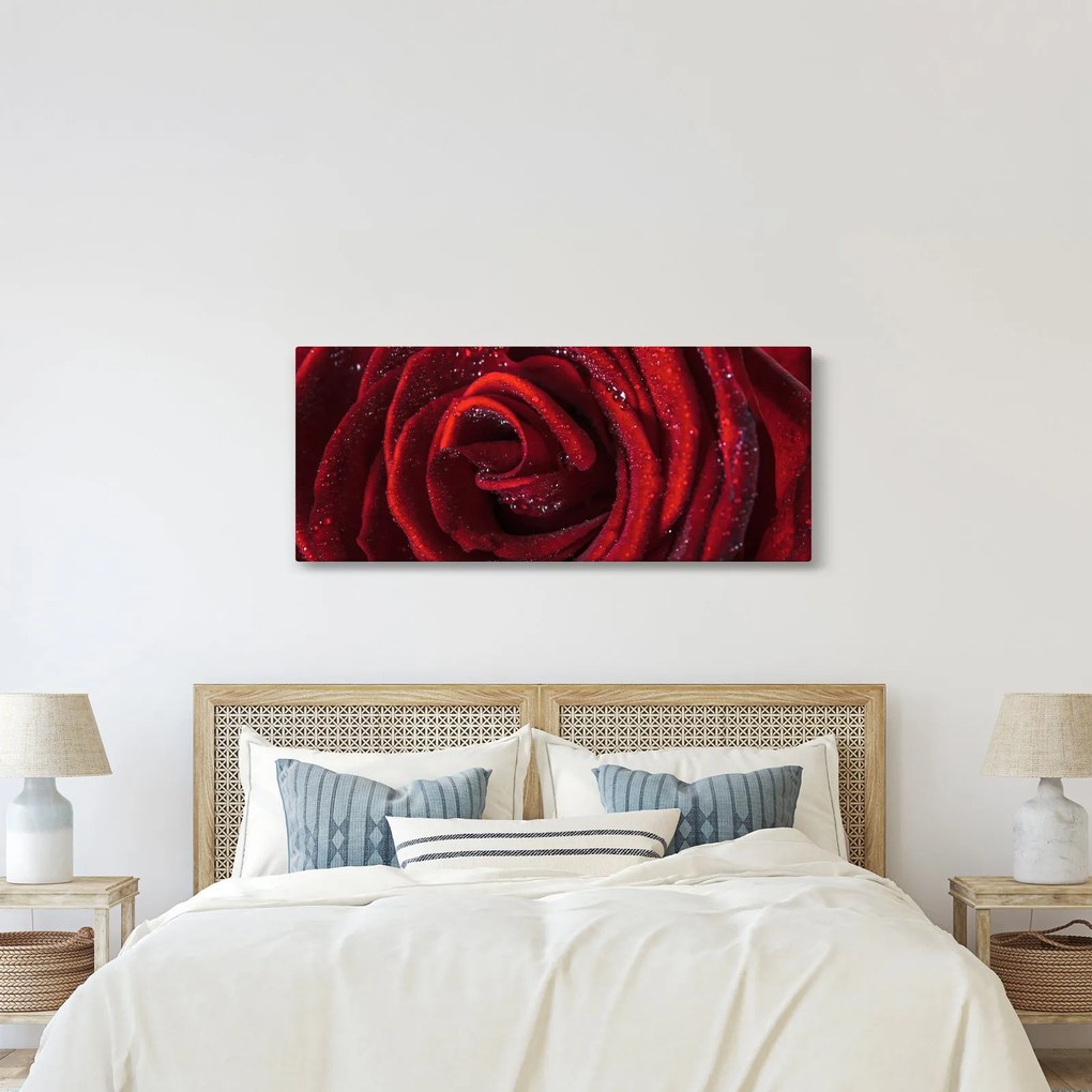 Tablou - Trandafir roșu cu picături de rouă (120x50 cm)