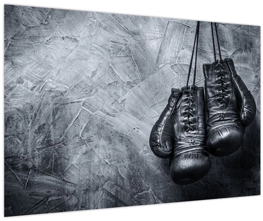 Tablou - Mănuși de box (90x60 cm)