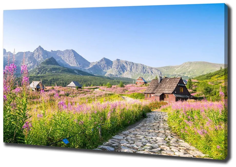 Tablouri tipărite pe pânză Cabanelor în munți