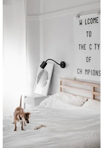 Palnas 61002620 - Aplică perete spot GEMA 1xGU10/10W/230V