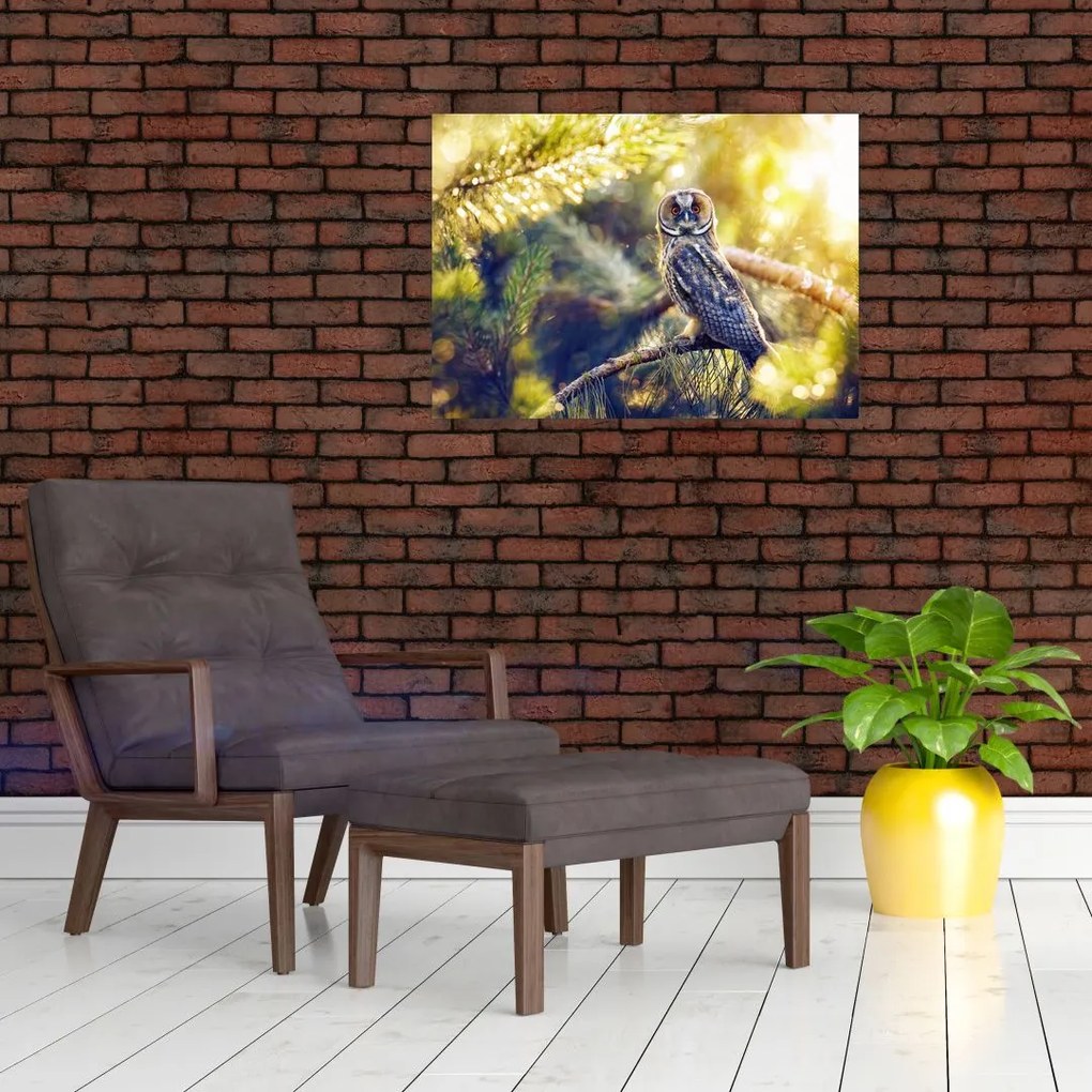 Tablou - Bufniță în copac (70x50 cm)