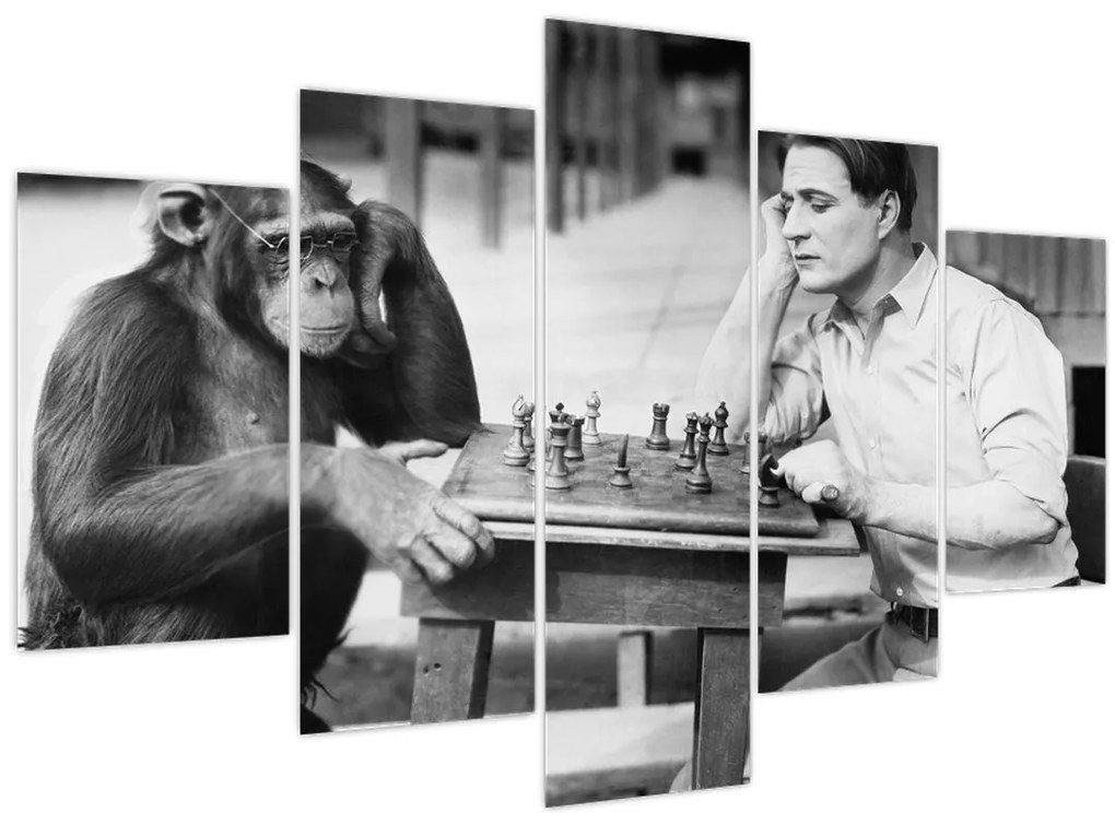 Tablou - Circ 2 (150x105 cm)