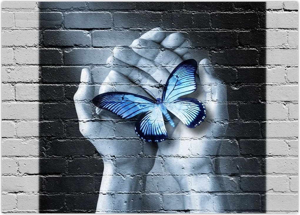 Tablou - Fluture pe perete (70x50 cm)
