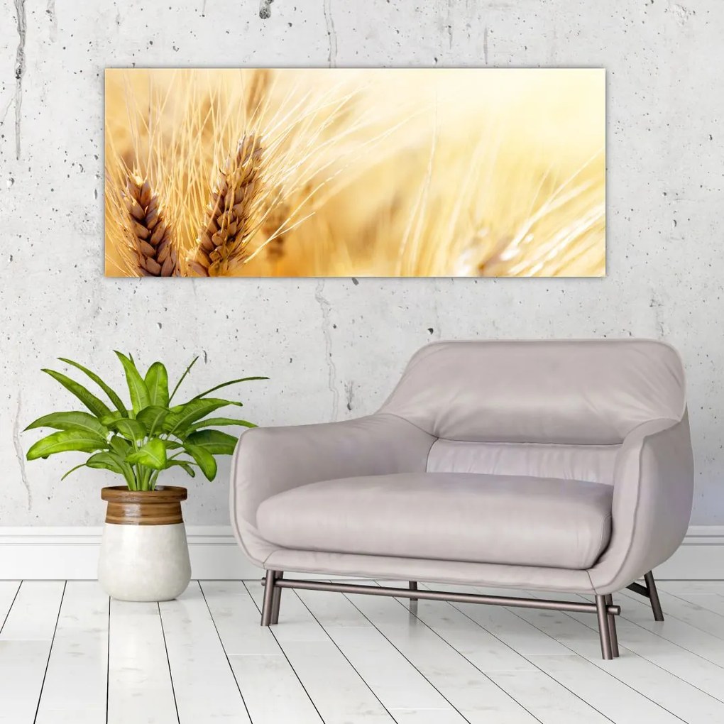 Tablou- detaliu cu (120x50 cm)