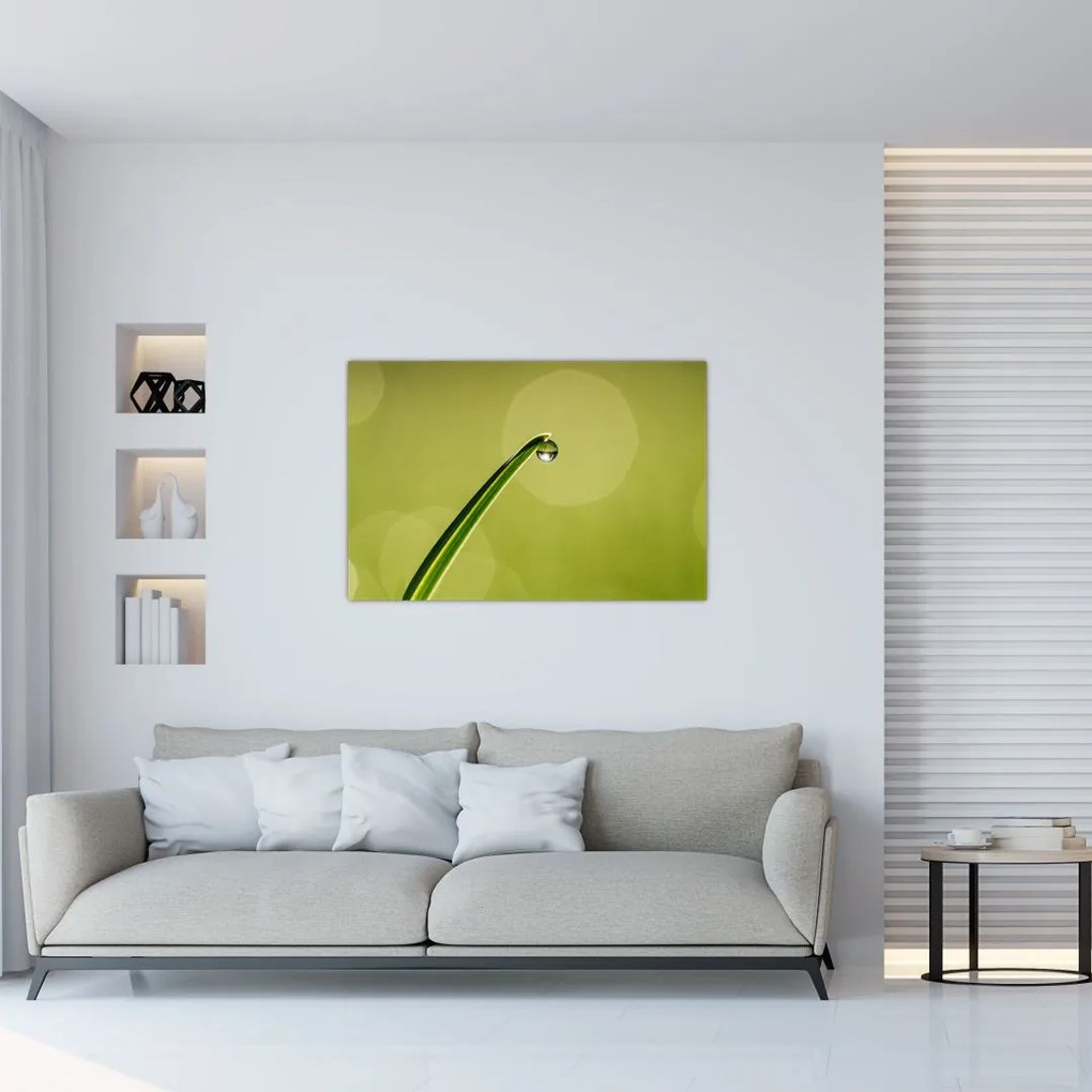 Tablou cu picătură de apă pe iarbă (90x60 cm)
