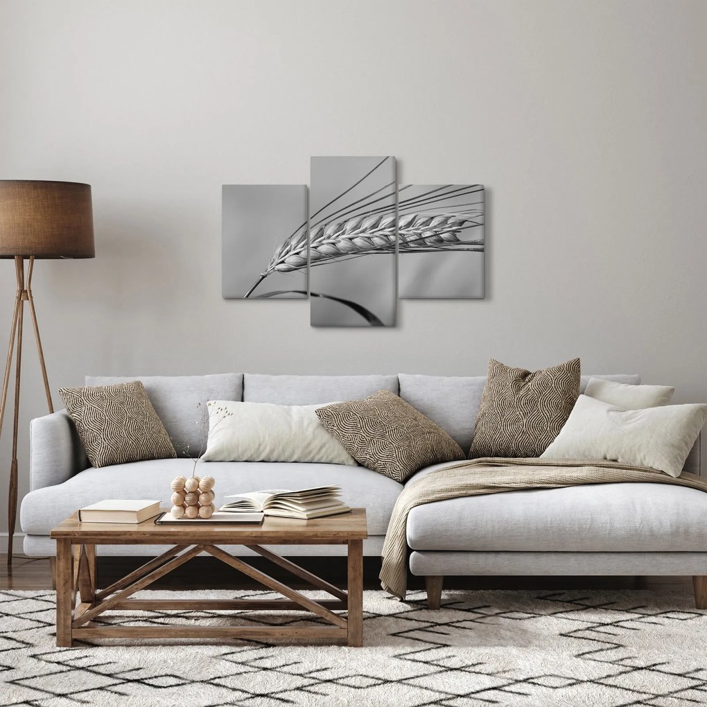 Tablou - Grâu,alb-negru (90x60 cm)