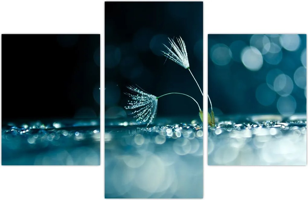 Tablou - Macro (90x60 cm)