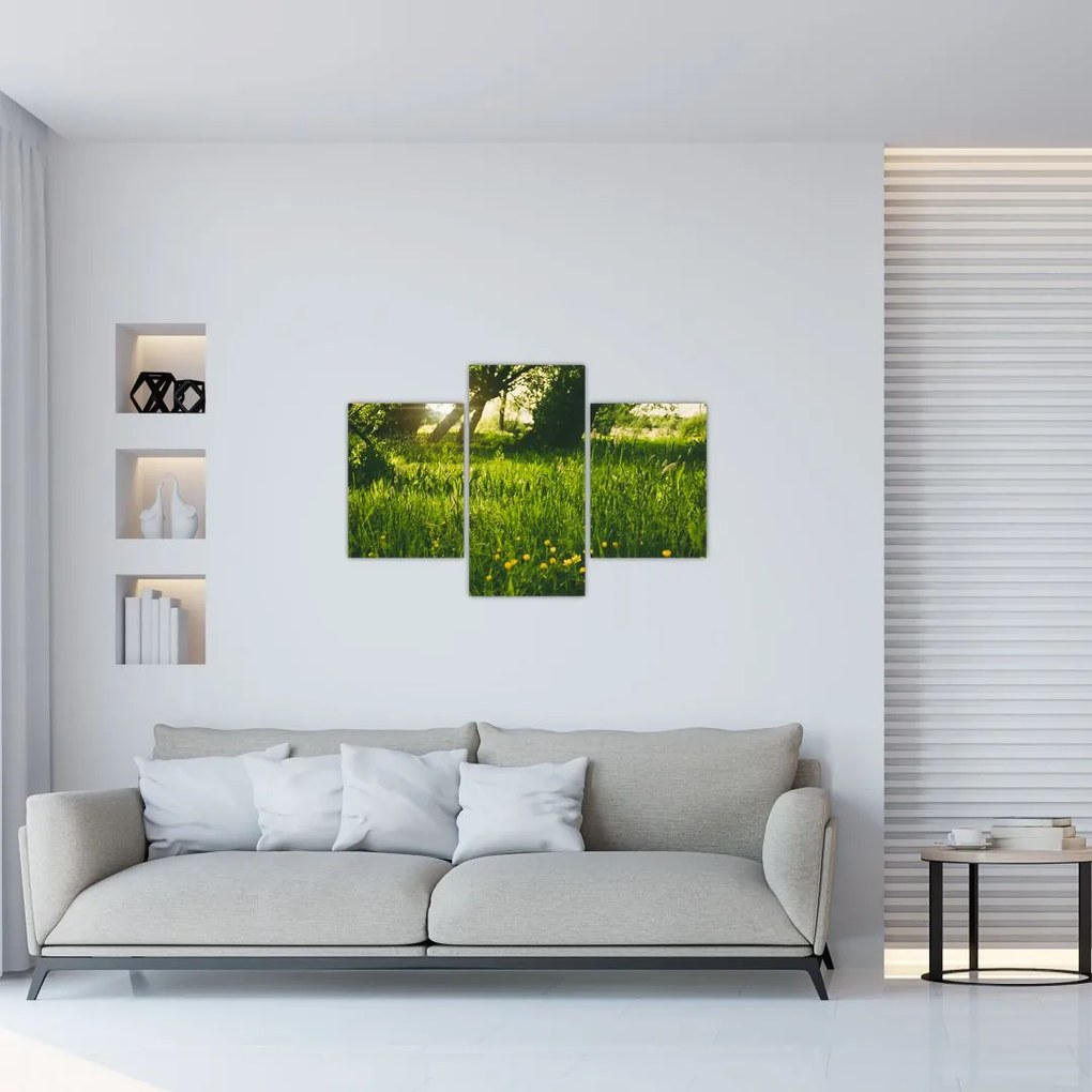 Tablou cu natura - lunca (90x60 cm)