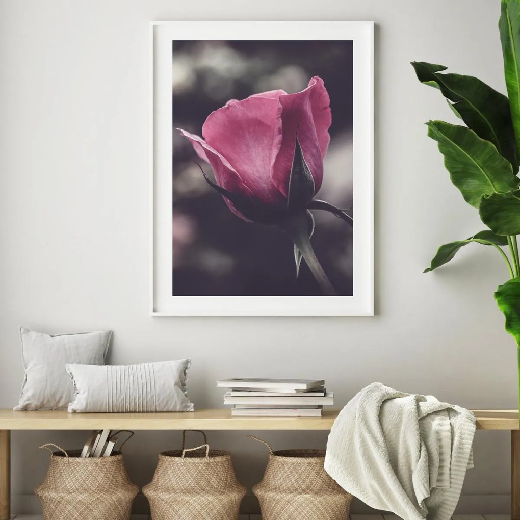 Poster - Floarea de trandafir (A4)