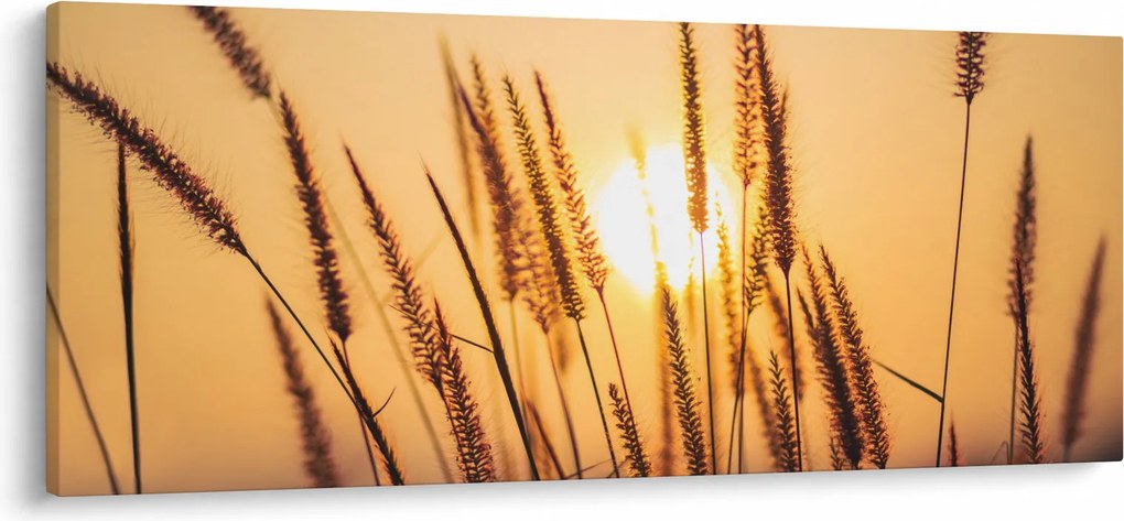 Tablou - Iarbă la soare (120x50 cm)