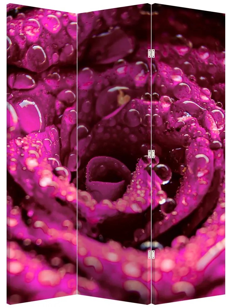 Paravan - Floarea trandafirului roz (126x170 cm)