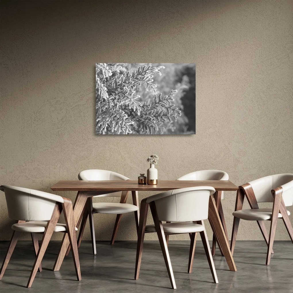 Tablou pe sticlă - Pădure de molid (70x50 cm)