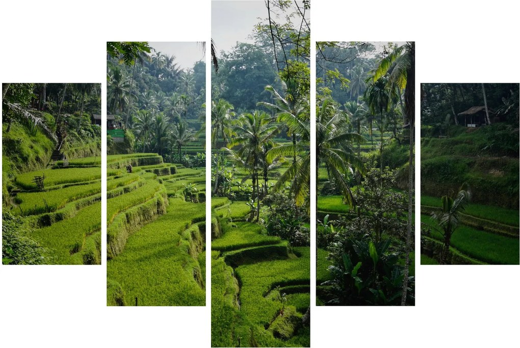 Tablou cu terasele cu orez Tegalalang, Bali (150x105 cm)