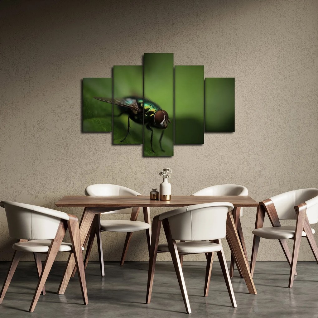 Tablou - Musca (150x105 cm)