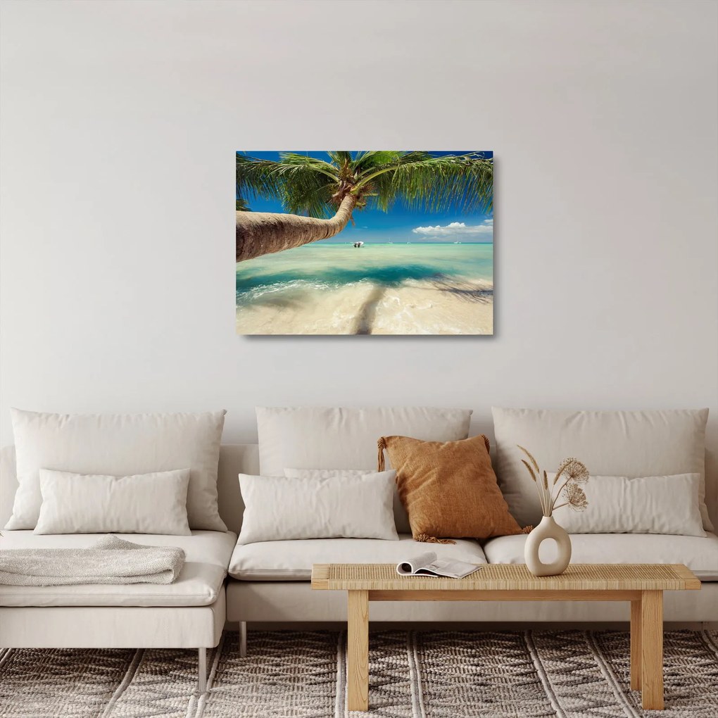 Tablou pe sticlă - Mare curată cu palmier (70x50 cm)