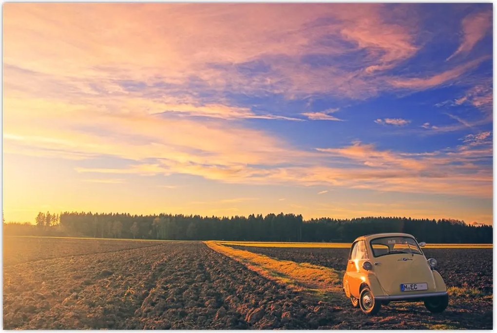 Tablou - Mașină galbenă ăn câmp (90x60 cm)