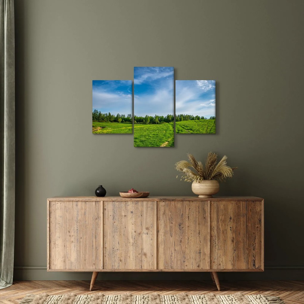 Tablou cu luncă (90x60 cm)