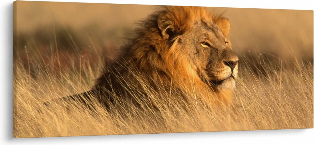 Tablou - Parcul Național Etosha (120x50 cm)