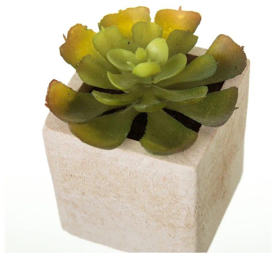 Set 6 flori artificiale Casa Selección Cactus