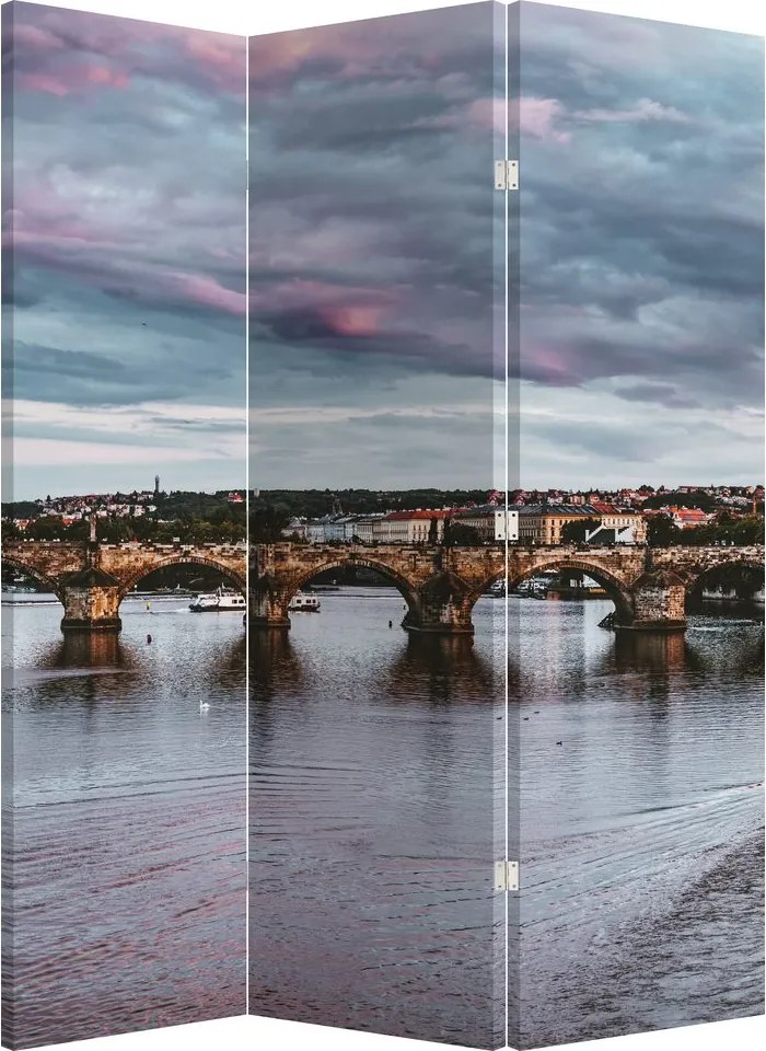 Paravan - Vltava (126x170 cm)