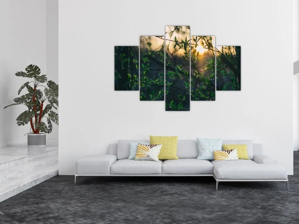 Tablou - Soarele strălucind printre crengile copacilor (150x105 cm)