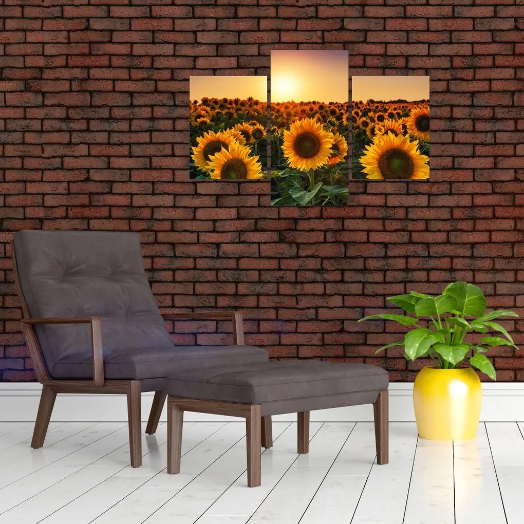 Tablou - Floarea soarelui (90x60 cm)