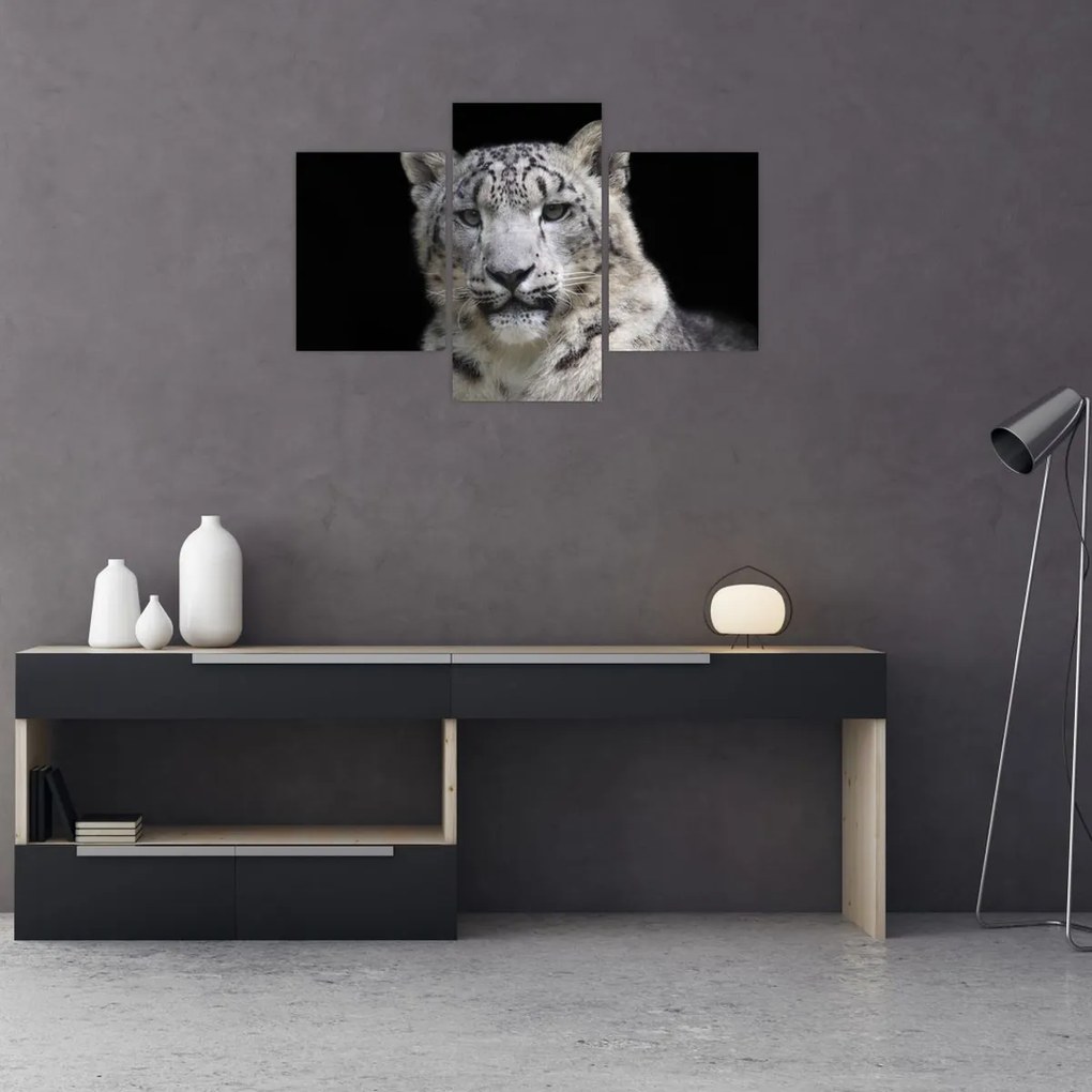 Tablou - Snow Leopard (90x60 cm)