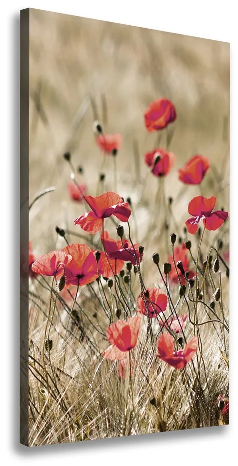 Imprimare tablou canvas Flori de câmp