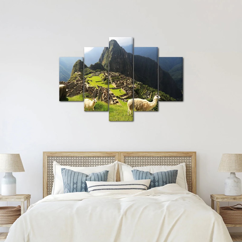 Tablou - Lame in Machu Picchu (150x105 cm)