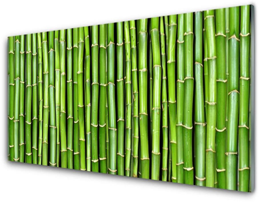 Tablou pe sticla acrilica Bamboo Floral Verde