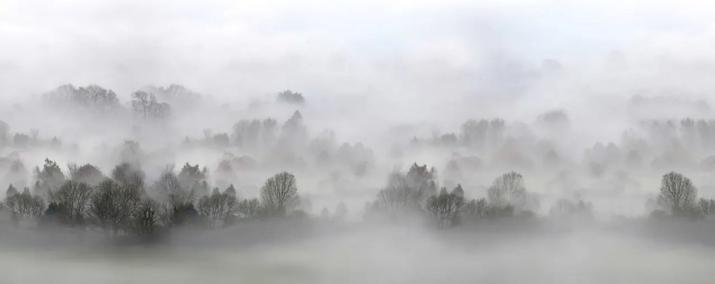 Fototapet, Morning Fog, Rebel Walls