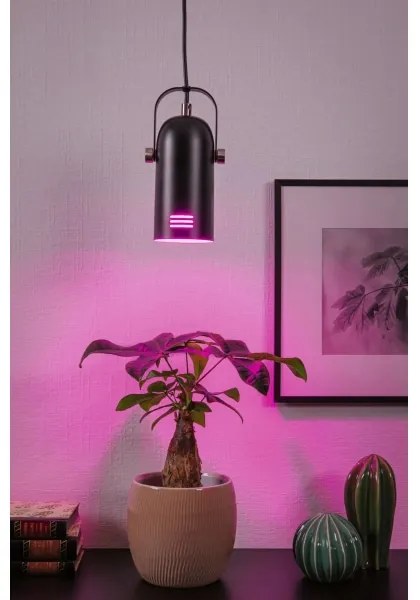Paulmann LAVEA 79766 - Lustră suspendată pe cablu LED RGBW 1xE27/9W 230V, neagră