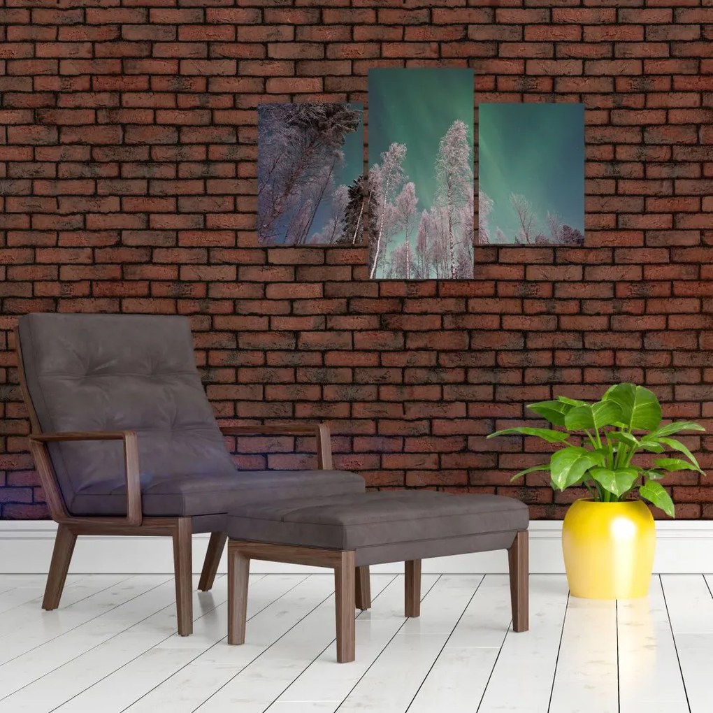 Tablou cu aurora borealis deasupra pomilor înghețați (90x60 cm)