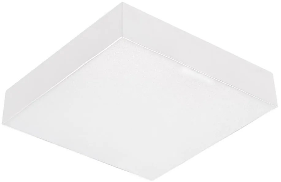 Emithor 63217 - Plafonieră LED SURFACE 1xLED/20W/230V