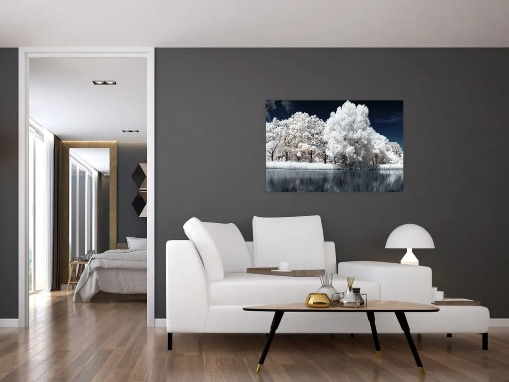 Tablou - Albă ca Zăpada Albă ca Zăpada Copaci (90x60 cm)